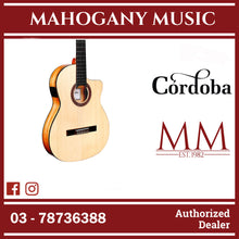 Cordoba C5-CET Limited - Solid Spruce Top, Maple Back & Sides with Pickup with Classical Guitar Bag, Mid Range Thinline Electric-Classical Guitar
