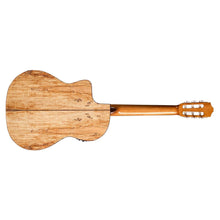 Cordoba C5-CET Limited - Solid Spruce Top, Maple Back & Sides with Pickup with Classical Guitar Bag, Mid Range Thinline Electric-Classical Guitar