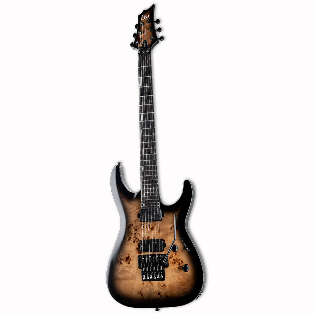 Esp ltd h online