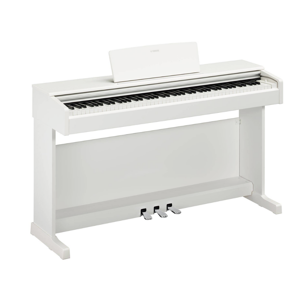 Yamaha Arius YDP145 88Keys Digital Piano with Headphone, Bench and D