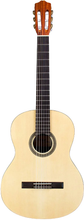 Cordoba Protege C1M - Spruce Top, Mahogany Back & Side, Full Sized Best Budget Classical Guitar For Beginners/Students/Starters, Entry Level Classical Guitar