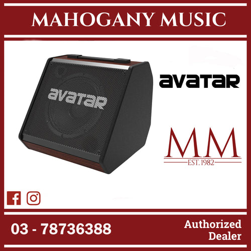 AVATAR DM30, 30 Watt Drum Amplifier Speaker ( DM 30 / DM-30 / HXW )