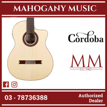 Cordoba GK Studio Negra - Solid European Spruce Top, Rosewood Back & Sides with Pickup