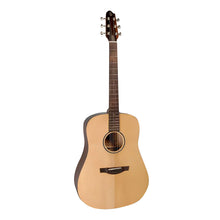 Covenant Guitar 100D 41inch Acoustic Guitar including Soft Case and Accessories