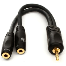 D’Addario PW-P047ZZ 1/8″ Male Stereo to Dual 1/8″ Female Stereo Adaptor