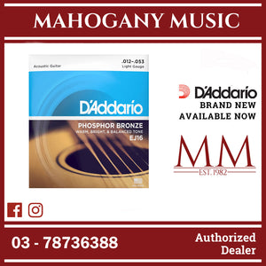 D'Addario EJ16 Phosphor Bronze Acoustic Guitar Strings, Light, 12-53 Gauge