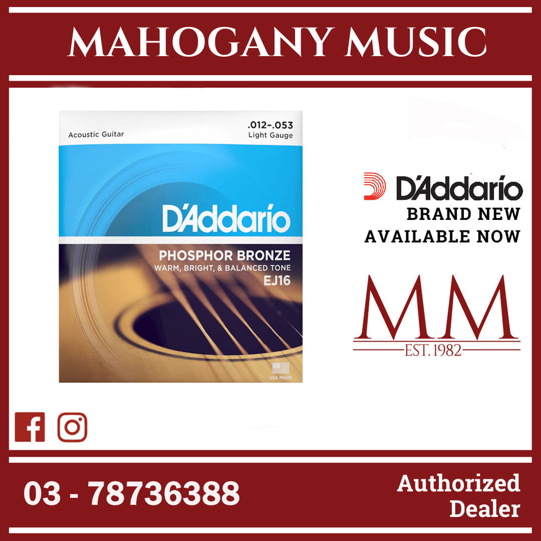 D'Addario EJ16 Phosphor Bronze Acoustic Guitar Strings, Light, 12-53 Gauge