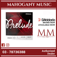 D’Addario J810 1/2M Prelude Violin String Set, 1/2 Scale, Medium Tension