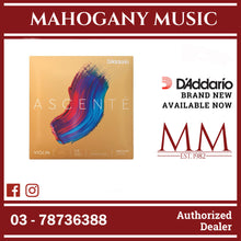 D’Addario A312 1/2M Ascente Violin Single A String, 1/2 Scale, Medium Tension