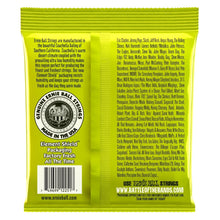 Ernie Ball P02251 Regular Slinky Classic Rock N Roll Pure Nickel Wrap Electric Guitar Strings, 10-46 Gauge