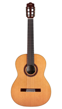 Cordoba F7 Paco Flamenco - Solid Canadian Cedar Top, Rosewood Back & Sides