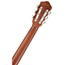 Ibanez AEG50N-NT AEG Series Nylon Stringed Acoustic Electric Guitar, Natural High Gloss