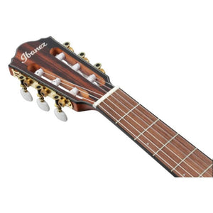 Ibanez FRH10N-BSF FRH Series Acoustic Electric Guitar, Brown Sunburst Flat