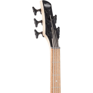 Ibanez GSR205SM-NGT GIO SR Series 5-String Electric Bass, Natural Gray Burst