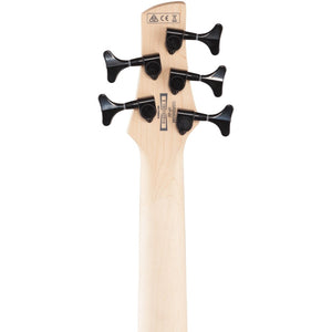 Ibanez GSR205SM-NGT GIO SR Series 5-String Electric Bass, Natural Gray Burst