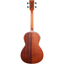 Ibanez PNB14E-OPN Performance Series Acoustic Electric Bass, Open Pore Natural