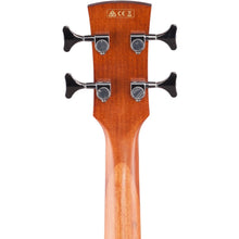 Ibanez PNB14E-OPN Performance Series Acoustic Electric Bass, Open Pore Natural