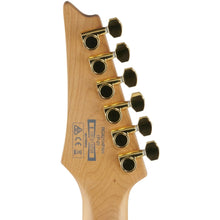 Ibanez RG421HPAH-BWB RG Standard Series Electric Guitar, Blue Wave Black
