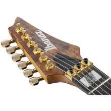 Ibanez RGT1220PB-ABS RG Premium Series Electric Guitar, Antique Brown Stained