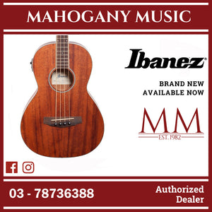 Ibanez PNB14E-OPN Performance Series Acoustic Electric Bass, Open Pore Natural