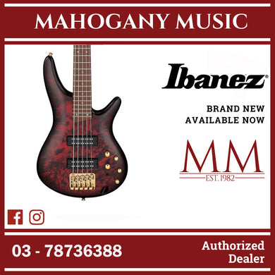 Ibanez SR305EDX-WZM SR Standard Series 5 Strings Electric Bass, Wine Red Frozen Matte