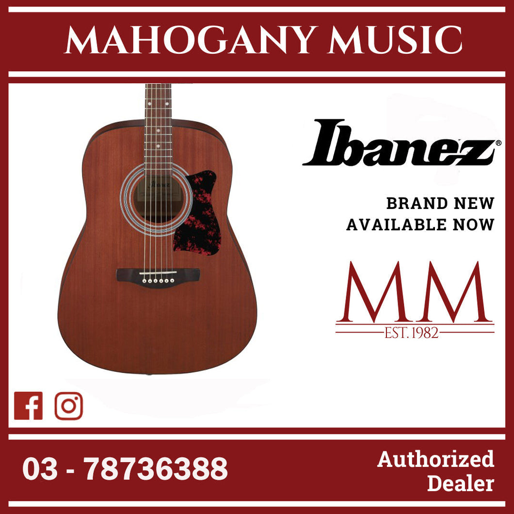 Ibanez V54NJP-OPN Jampack Series Acoustic Guitar Package, Open Pore Natural
