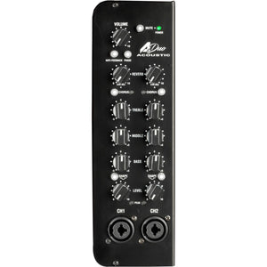 Laney A-Duo A Series 120-watt 2&#215;8 Inch Acoustic Instrument Combo Amplifier
