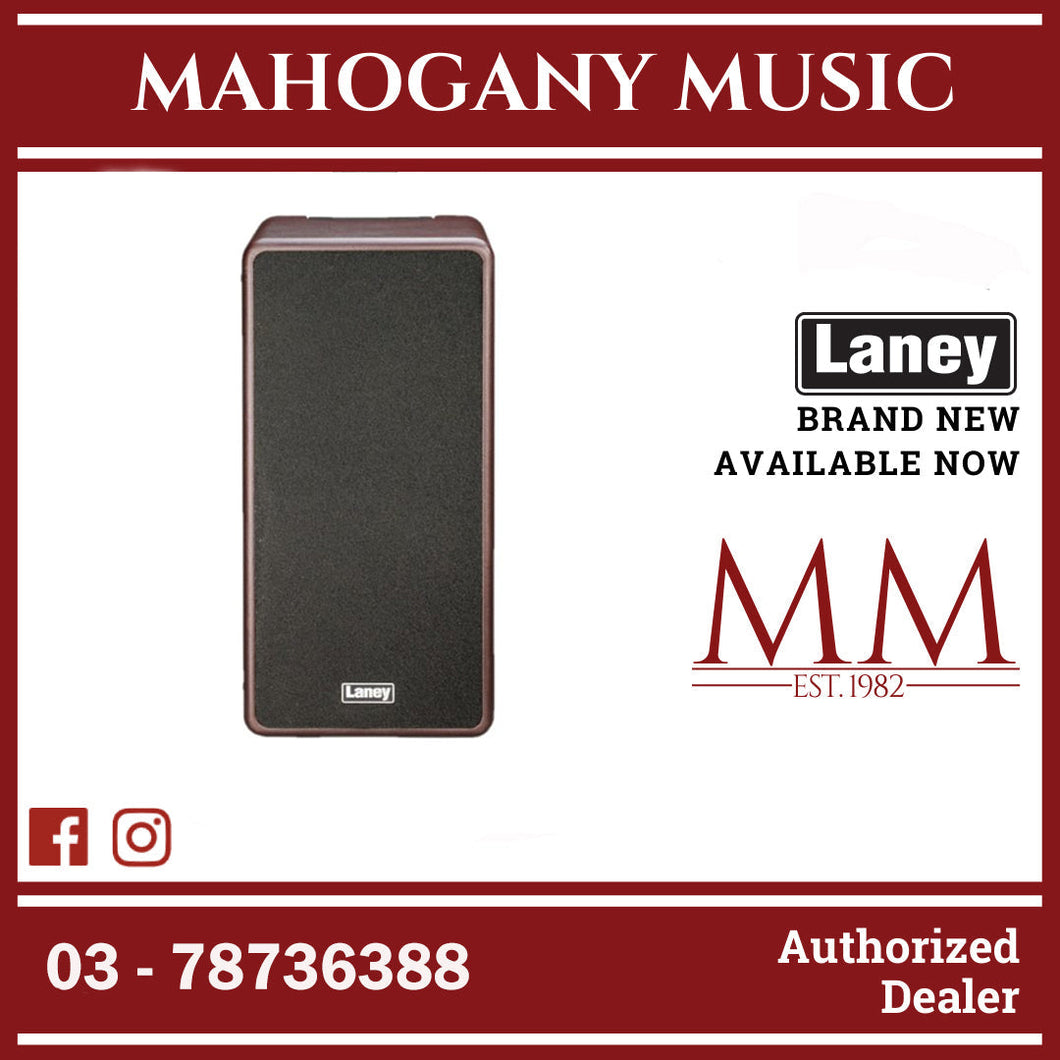 Laney A-Duo A Series 120-watt 2×8 Inch Acoustic Instrument Combo Amplifier