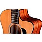 [PREORDER] Taylor 254ce Plus Grand Auditorium 12-String Acoustic-Electric Guitar Natural