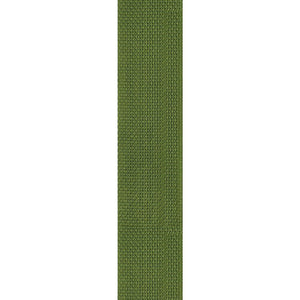 D'Addario PWS107 Polypropylene Guitar Strap, Green