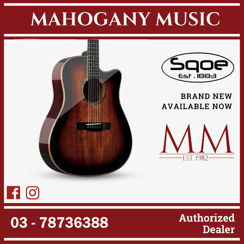 SQOE S370-FG 41 inch Solid Top Acoustic Guitar ( S370 FG / S370FG / S-370 )