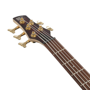 Ibanez SR305EDX-WZM SR Standard Series 5 Strings Electric Bass, Wine Red Frozen Matte