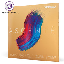 D’Addario A310 1/2M Ascente Violin String Set, 1/2 Scale, Medium Tension