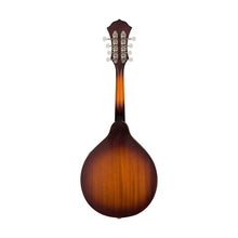 [PREORDER] Fender PM-180E Mandolin, Walnut FB, Aged Cognac Burst