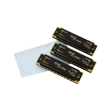 [PREORDER] Fender Blues DeVille Harmonicas w/Case, 3-Pack