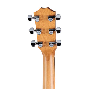 [PREORDER] Taylor 117e Acoustic-Electric Guitar w/Case