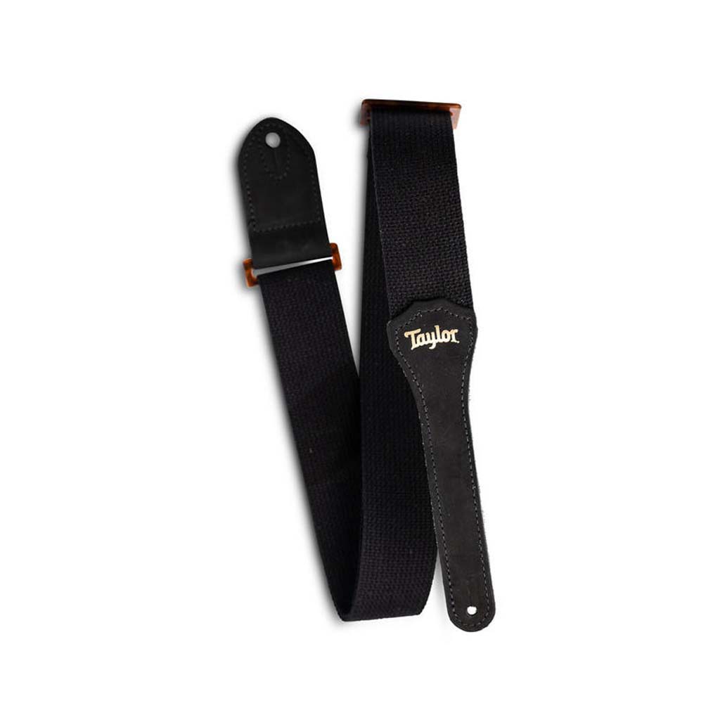 Taylor GS 2
