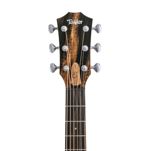 [PREORDER] Taylor JCSM-6 Jacob Collier Signature Model 6-String Acoustic-Electric Guitar, Hawaiian Koa