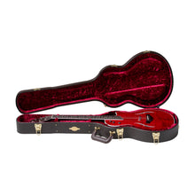 [PREORDER] Taylor T5z Pro Electric Guitar w/Case, Borrego Red