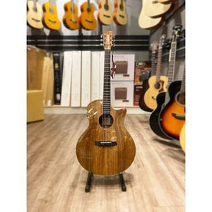 Tanglewood TW6 CE BW Winterleaf Exotic Super Folk Acoustic-Electric Guitar