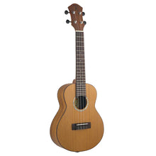 aNueNue C4E Hawaiian Dream Series Solid Top Concert Ukulele With Gigbag - Satin Natural (C4 / C4 E)