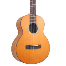 aNueNue T4E Hawaiian Dream Series Solid Top Tenor Ukulele With Gigbag - Satin Natural (T4 / T4 E)