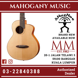 Anuenue M100E Full Solid Fly Bird Acoustic Guitar