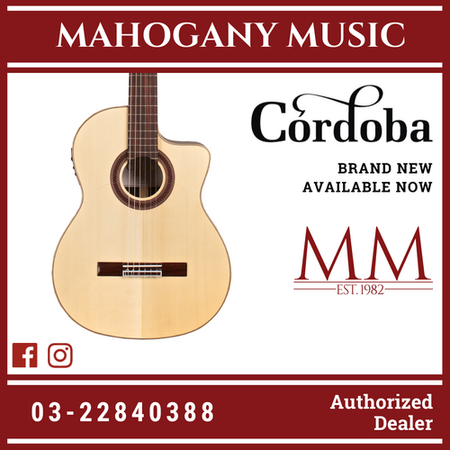 Cordoba GK Studio Limited - Solid European Spruce Top, Ziricote Back & Sides with Pickup & Gator Guitar Case