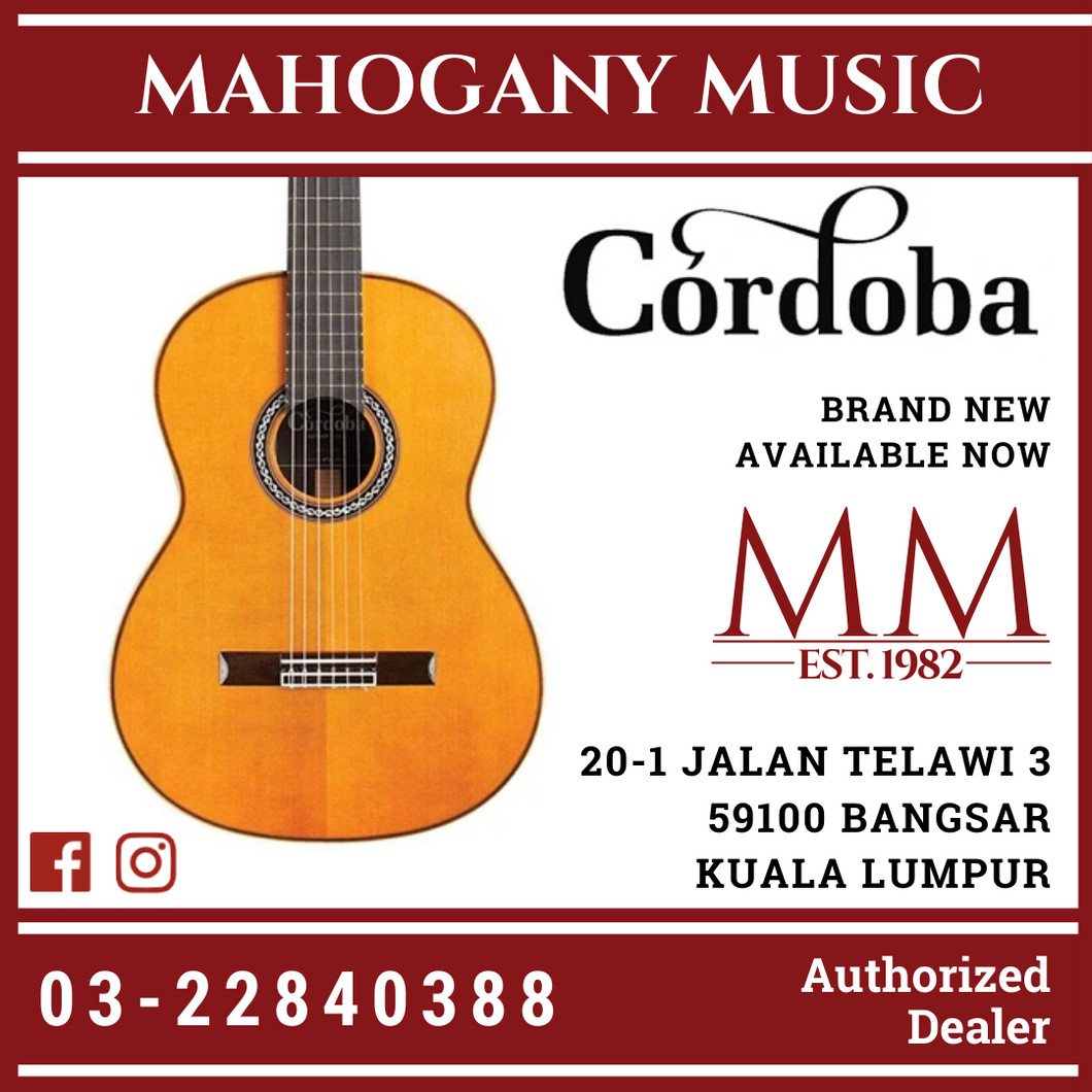 Cordoba C12 CD Full Solid Classical Guitar With Cordoba Guitar Humidified Hard Case