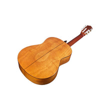 Cordoba Iberia - C5 CD Solid Canadain Cedar Top Classical Guitar