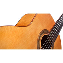 Cordoba Iberia - C5 CD Solid Canadian Cedar Classical Guitar with Gator Case