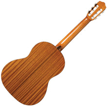 Cordoba Iberia - Dolce, 7/8Size Western Red Classical Guitar