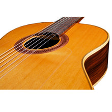 Cordoba Iberia - F7 Solid Red Cedar Top Paco Flamenco Guitar