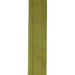 D’Addario 50BAL08 Auto Lock Nylon Woven Guitar Strap, Moss